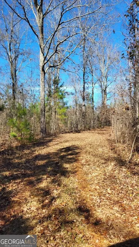 0 Abercrombie Rd, Forsyth, GA 31029 photo 1
