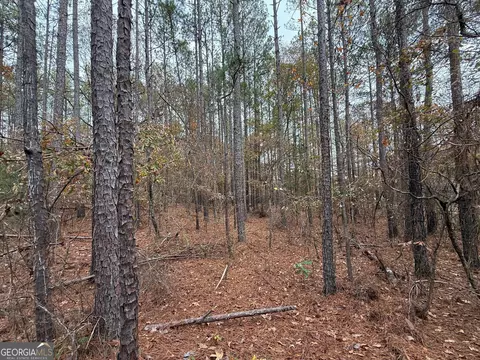 0 Primrose Road Apt 78- Acres Rd #7.8+/- ACRES, Greenville, GA 30222