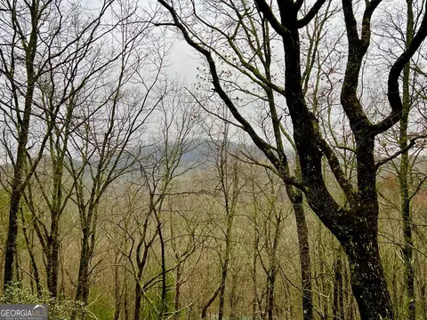 18 Martin Xing, Cherry Log, GA 30522