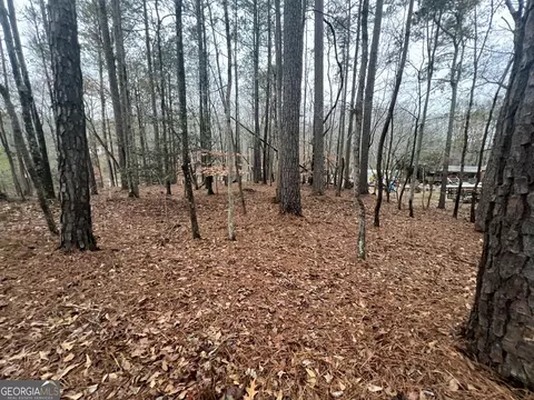 89 Three Angels Rd, Comer, GA 30629 photo 12