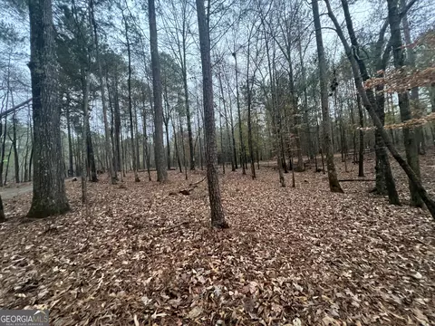 89 Three Angels Rd, Comer, GA 30629 photo 13