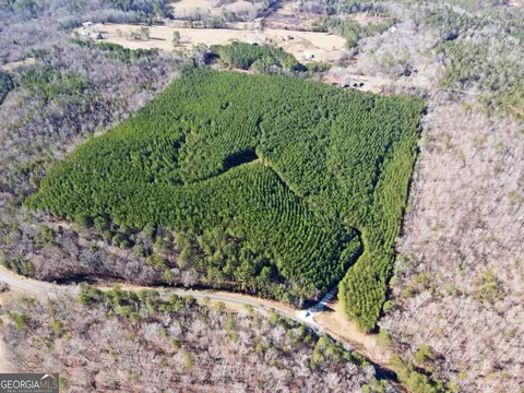 0 County Rd 99, Gaylesville, TN 37087