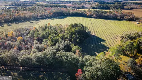 0 Herndon Rd, Pavo, GA 31778