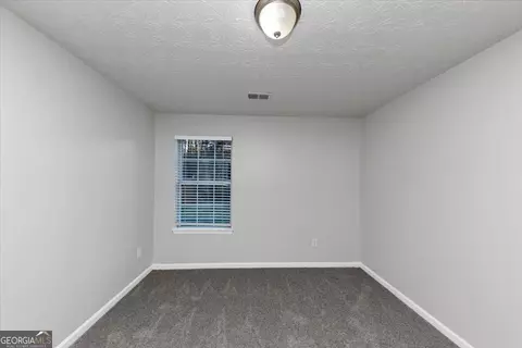 202 Millstone Dr, Hampton, GA 30228 photo 22