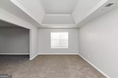 202 Millstone Dr, Hampton, GA 30228 photo 40