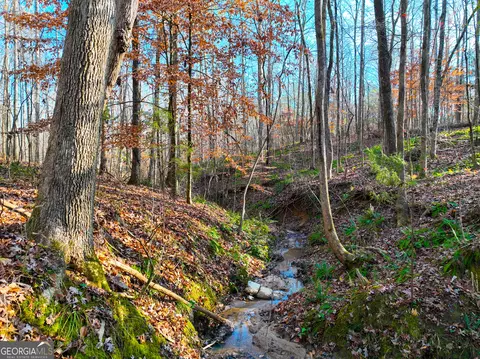 289 Old South River Rd, Jackson, GA 30233