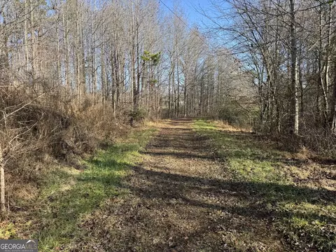 0 J Warren Rd, Cornelia, GA 30531 photo 4