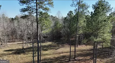 390 New Hope Vesta Rd, Carlton, GA 30627