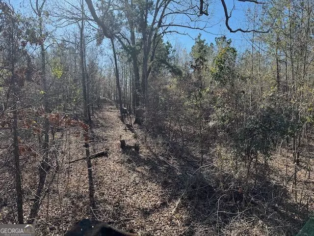  0 Deer Hunter Rd, Tennille, GA 31089 photo 10