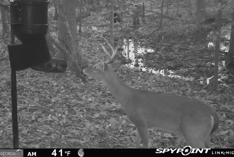  0 Deer Hunter Rd, Tennille, GA 31089 photo 23