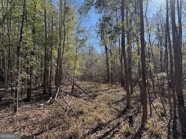  0 Deer Hunter Rd, Tennille, GA 31089 photo 15