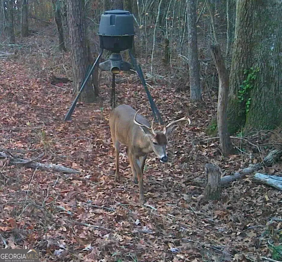  0 Deer Hunter Rd, Tennille, GA 31089 photo 22