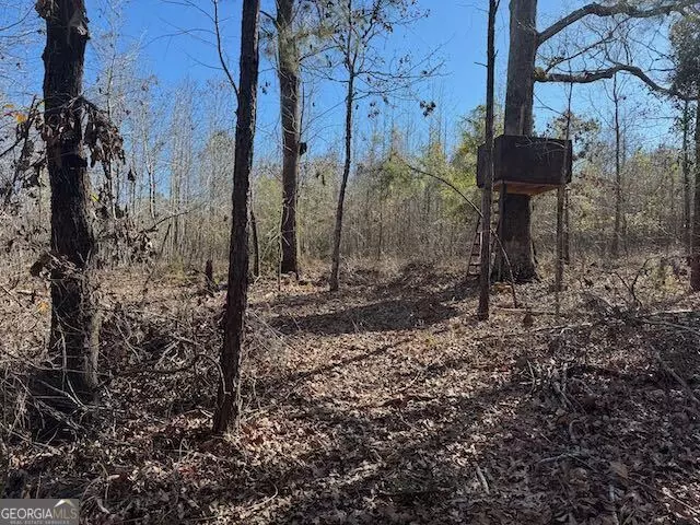  0 Deer Hunter Rd, Tennille, GA 31089 photo 9