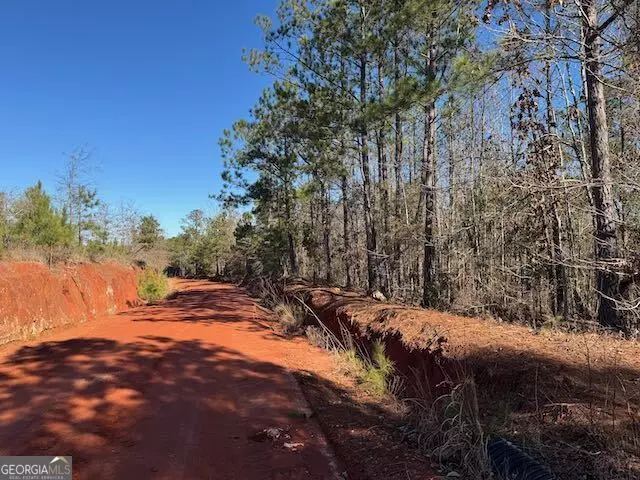  0 Deer Hunter Rd, Tennille, GA 31089 photo 1