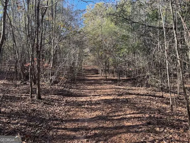  0 Deer Hunter Rd, Tennille, GA 31089 photo 7