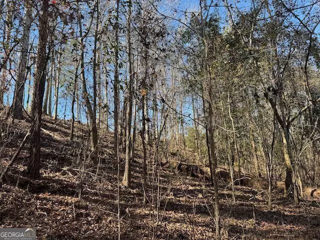  0 Deer Hunter Rd, Tennille, GA 31089 photo 4
