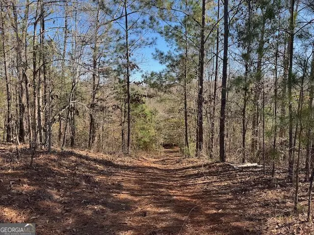  0 Deer Hunter Rd, Tennille, GA 31089 photo 2