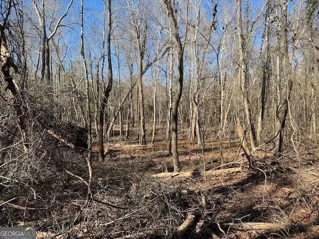  0 Deer Hunter Rd, Tennille, GA 31089 photo 14