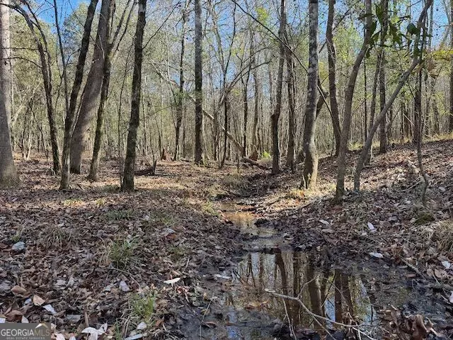  0 Deer Hunter Rd, Tennille, GA 31089 photo 16