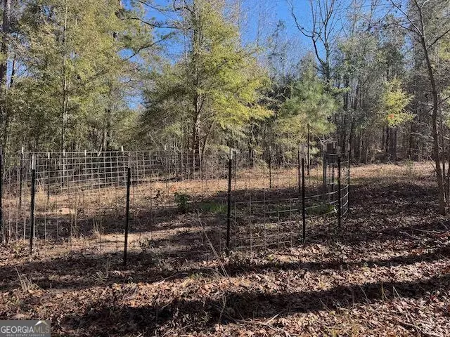  0 Deer Hunter Rd, Tennille, GA 31089 photo 6
