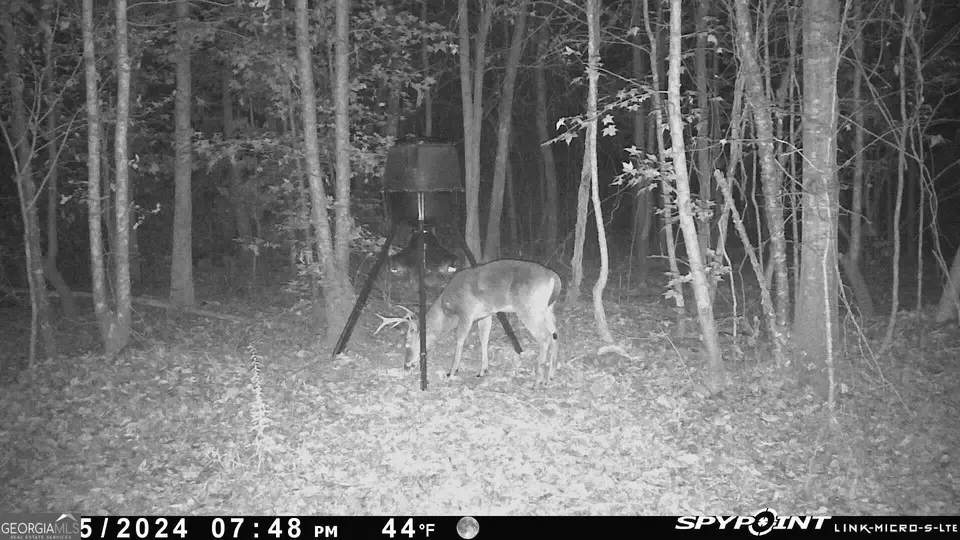  0 Deer Hunter Rd, Tennille, GA 31089 photo 24