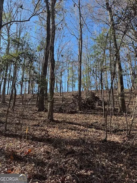  0 Deer Hunter Rd, Tennille, GA 31089 photo 5