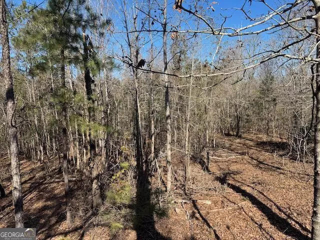  0 Deer Hunter Rd, Tennille, GA 31089 photo 11