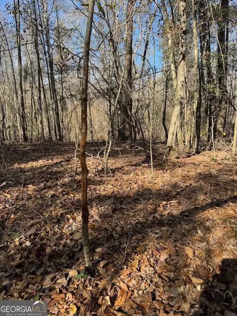  0 Deer Hunter Rd, Tennille, GA 31089 photo 20