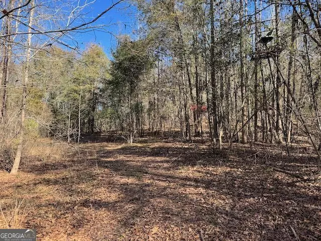 0 Deer Hunter Rd, Tennille, GA 31089 photo 18