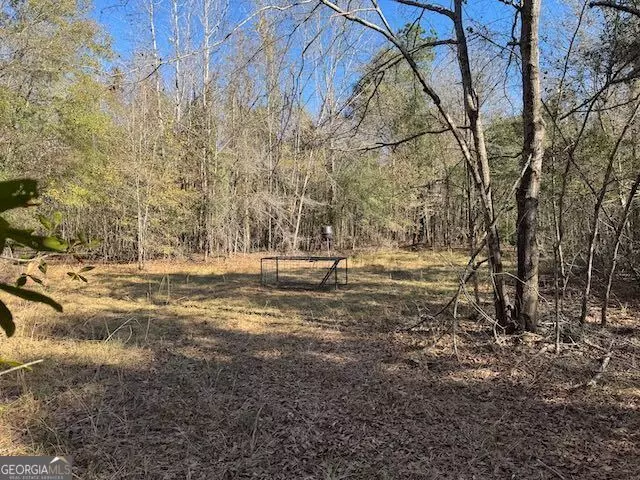 0 Deer Hunter Rd, Tennille, GA 31089 photo 12