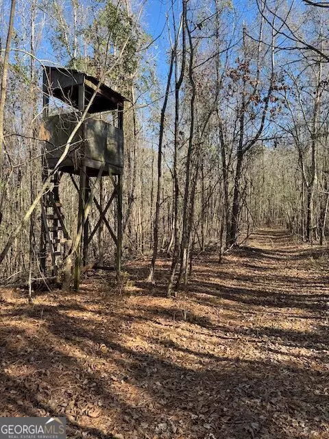  0 Deer Hunter Rd, Tennille, GA 31089 photo 8