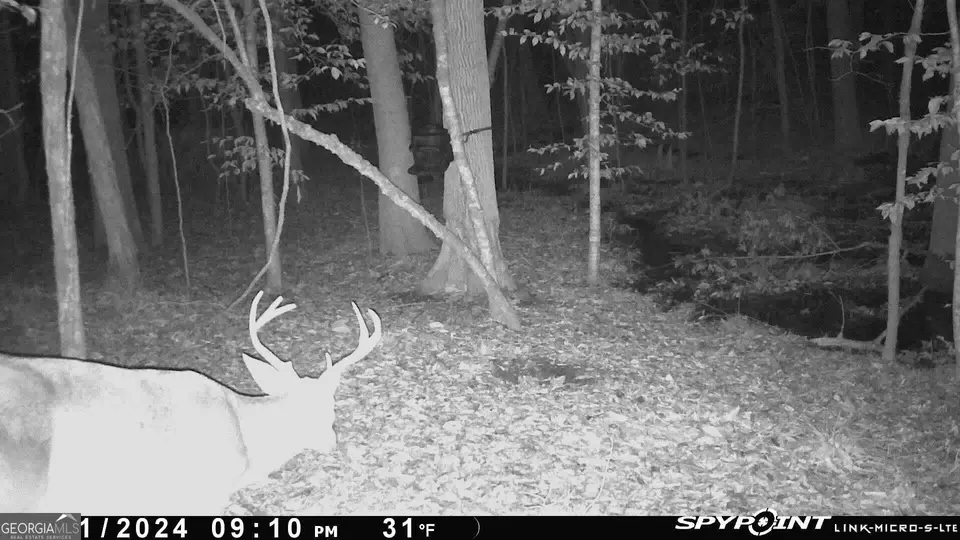  0 Deer Hunter Rd, Tennille, GA 31089 photo 25