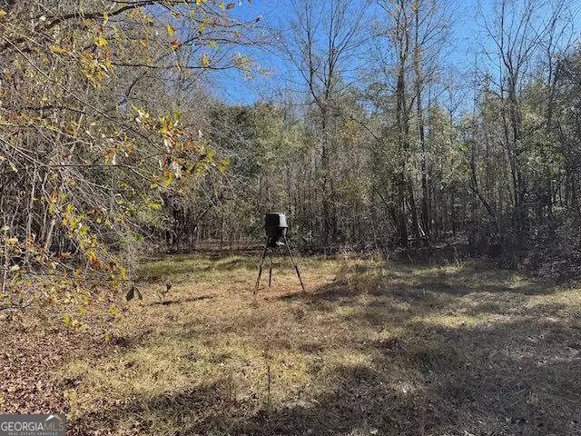  0 Deer Hunter Rd, Tennille, GA 31089 photo 13