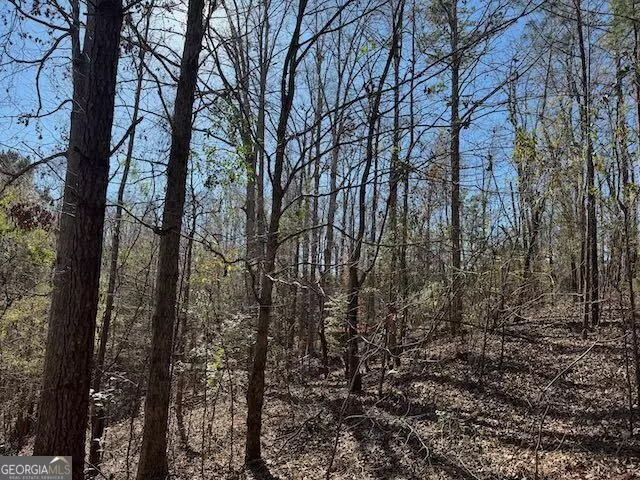  0 Deer Hunter Rd, Tennille, GA 31089 photo 3
