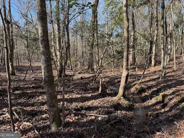  0 Deer Hunter Rd, Tennille, GA 31089 photo 17