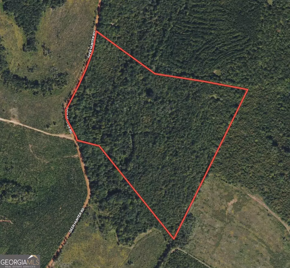  0 Deer Hunter Rd, Tennille, GA 31089 photo 26