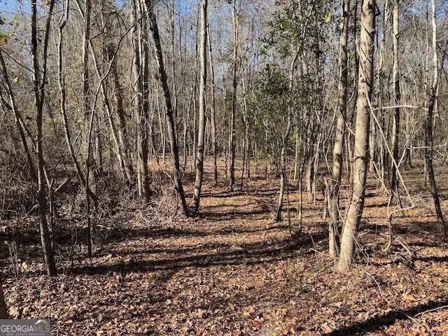  0 Deer Hunter Rd, Tennille, GA 31089 photo 19