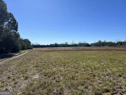 129 Gaultney Horne Rd, Reynolds, GA 31076