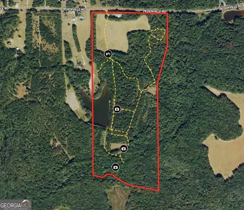 145 79 Ac Pedenville Rd, Concord, GA 30206