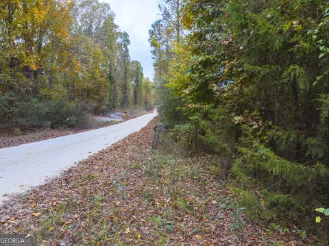 0 Shepard Rd, Carnesville, GA 30521 photo 16