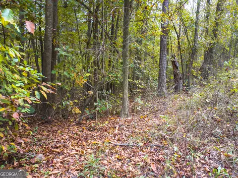 0 Shepard Rd, Carnesville, GA 30521 photo 17
