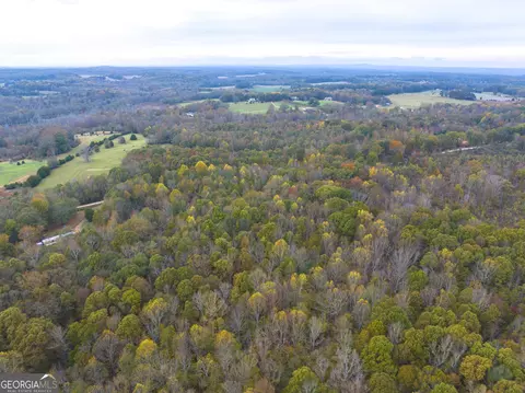 0 Shepard Rd, Carnesville, GA 30521 photo 14