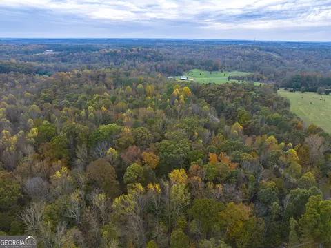 0 Shepard Rd, Carnesville, GA 30521 photo 10