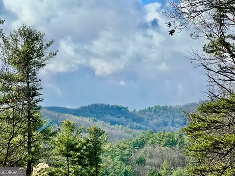 0 Stanley Creek Rd, Cherry Log, GA 30522