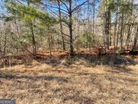 lot8 Black Pearl Dr, Warrenton, GA 30828