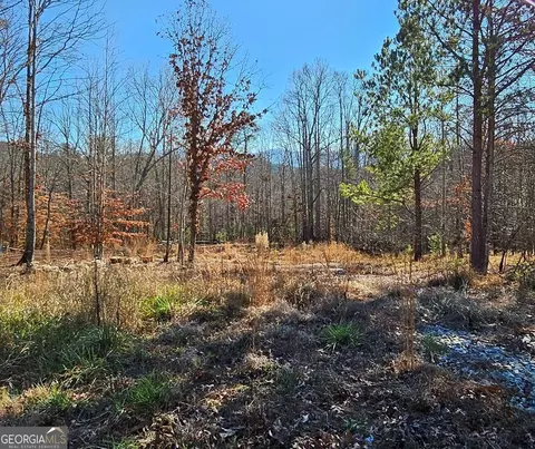 42 Tracy St #6162, Blairsville, GA 30512
