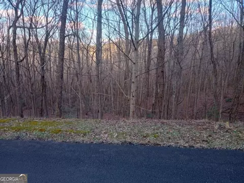 163 Trailwood Drive #163, Ellijay, GA 30536