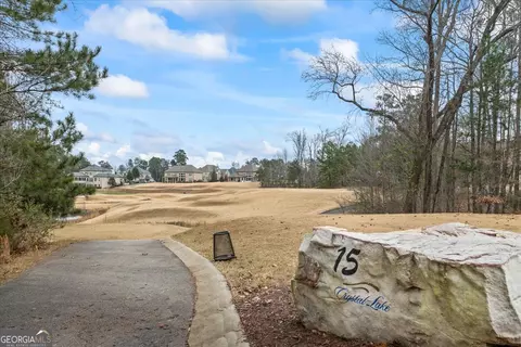 Exterior - 740 Peninsula Overlook, Hampton, GA 30228 photo 10 of 11