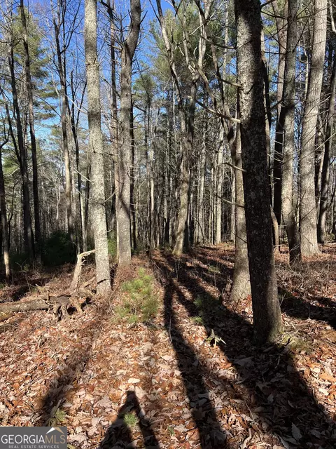 3 Allison Loop, Blairsville, GA 30512