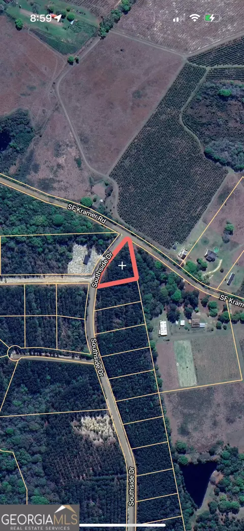 Parcel 1 Southside Drive, Lyons, GA 30436 photo 3